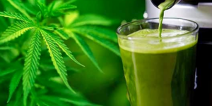 Weed Smoothy